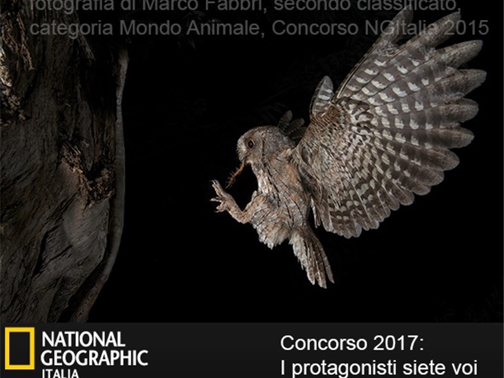 Concorso NATIONAL GEOGRAPHIC